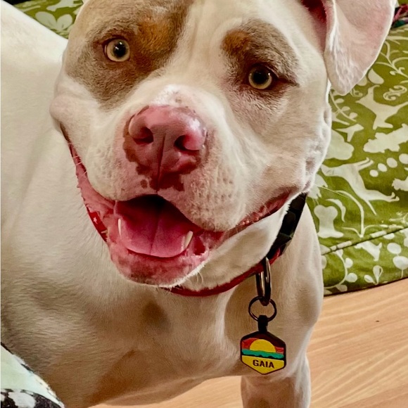 Meet your Posher, Samantha - Picture 8 of 9